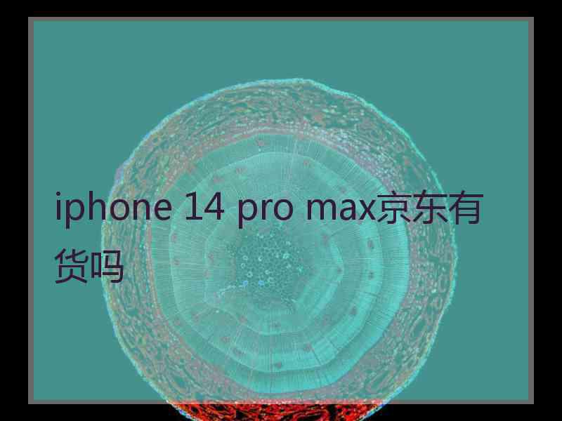 iphone 14 pro max京东有货吗