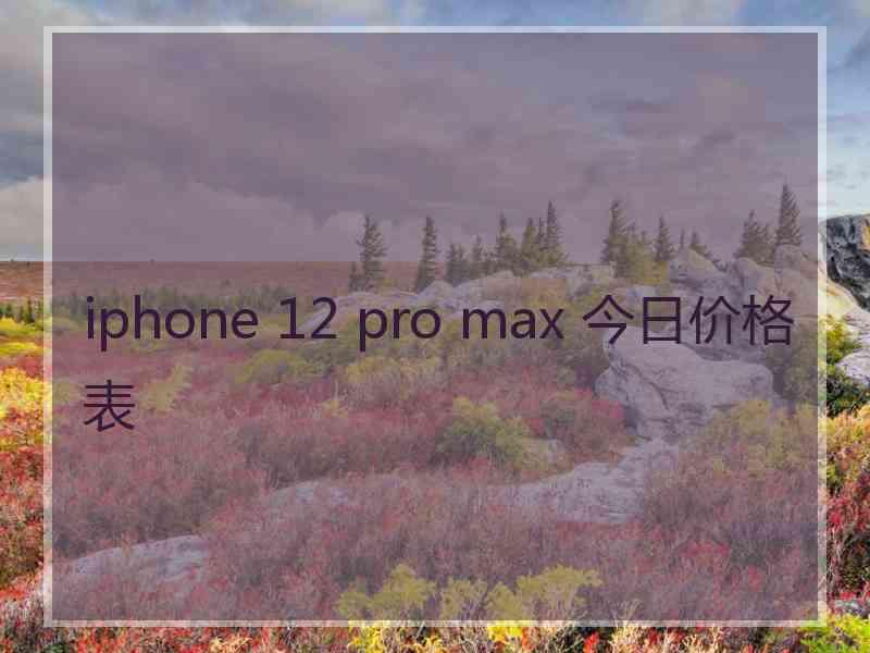 iphone 12 pro max 今日价格表