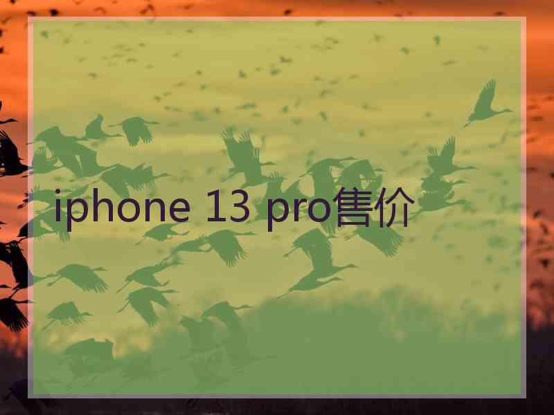 iphone 13 pro售价