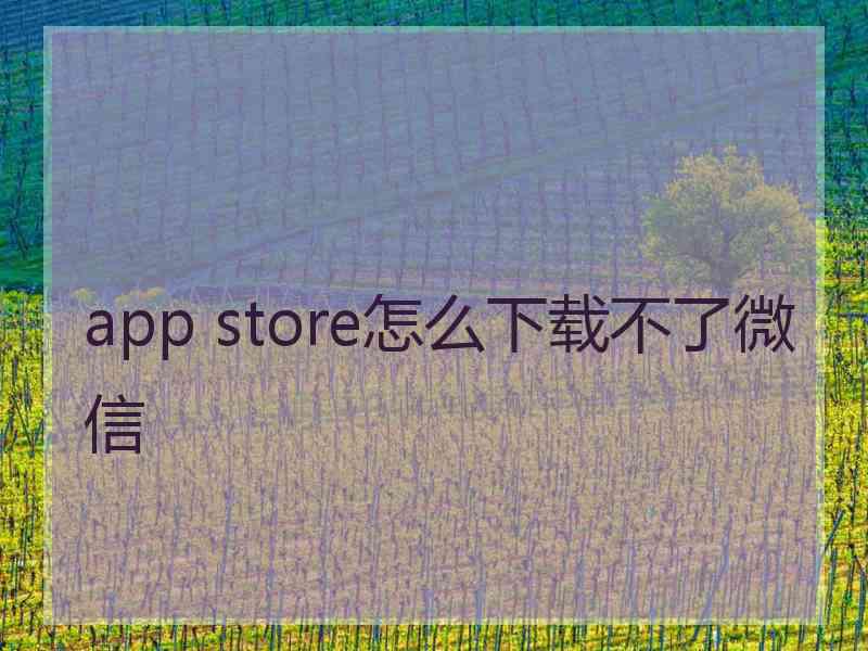 app store怎么下载不了微信