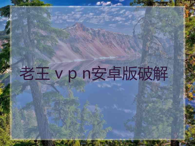 老王 v p n安卓版破解