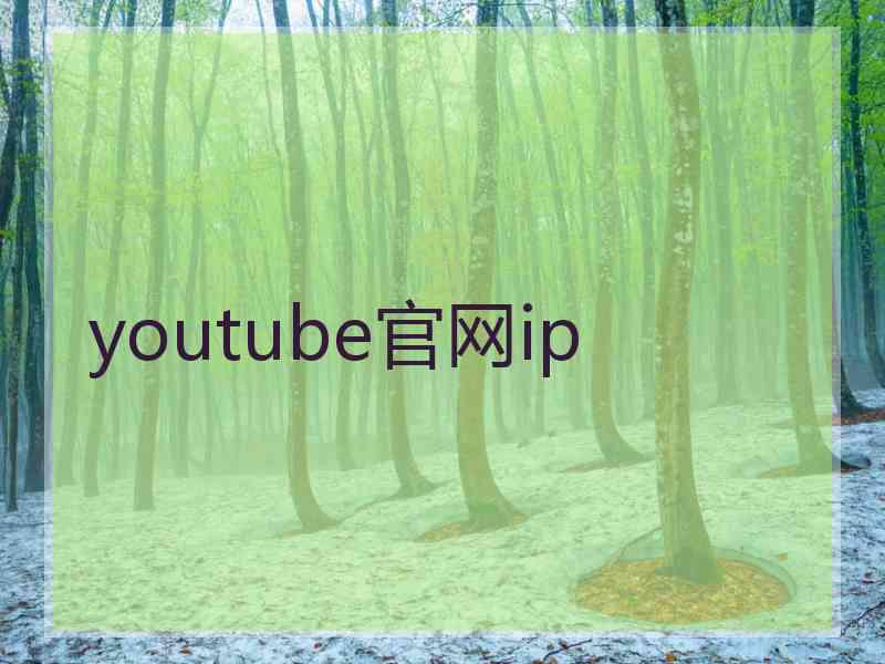 youtube官网ip