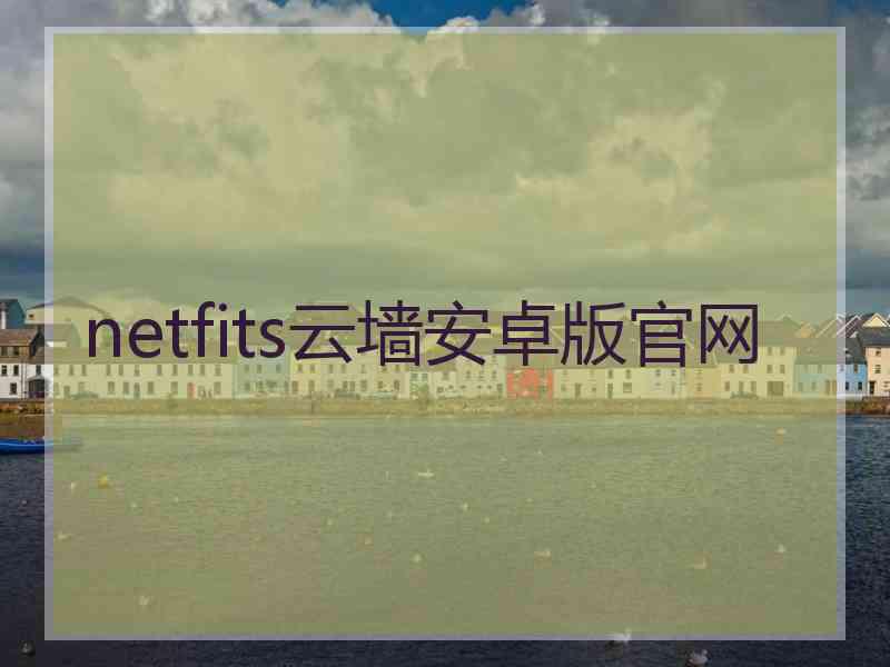 netfits云墙安卓版官网