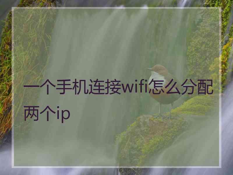 一个手机连接wifi怎么分配两个ip