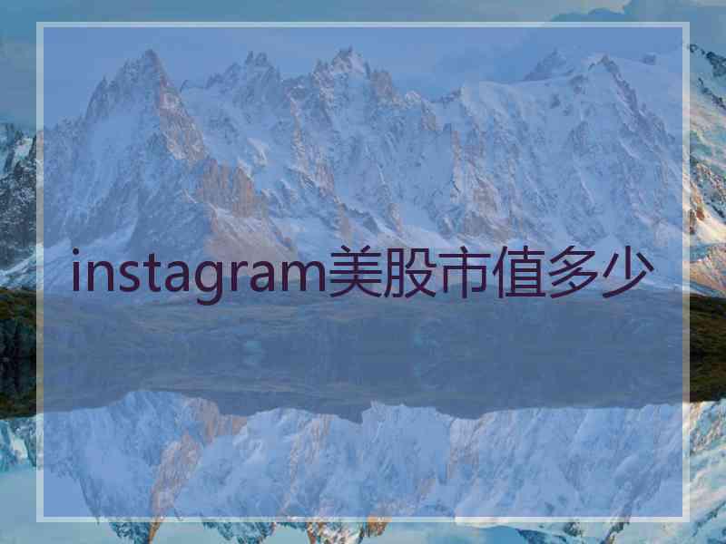 instagram美股市值多少