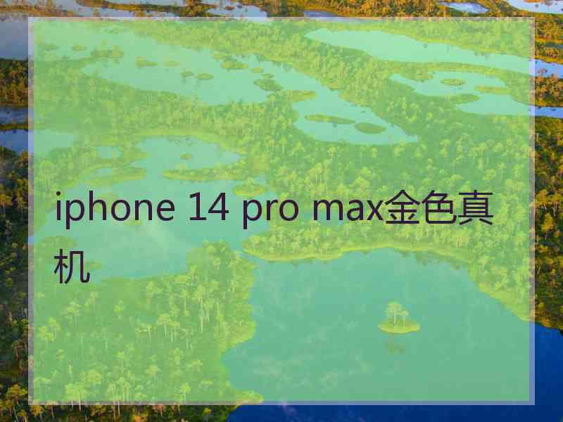 iphone 14 pro max金色真机