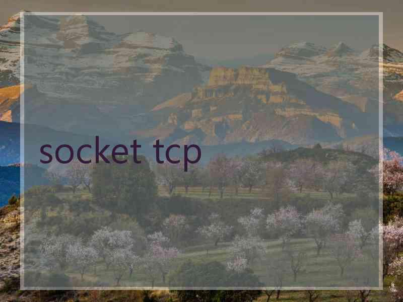 socket tcp