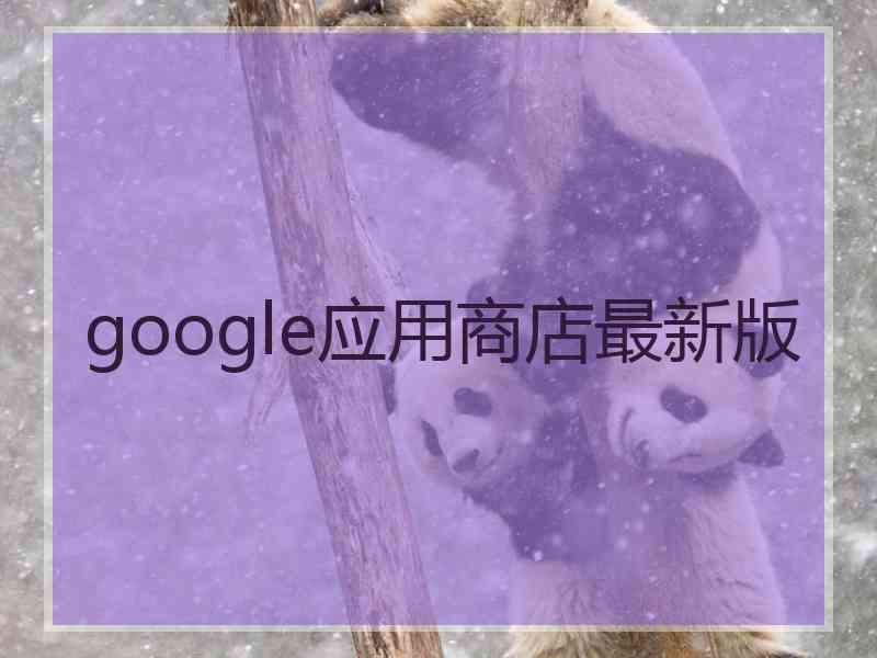 google应用商店最新版