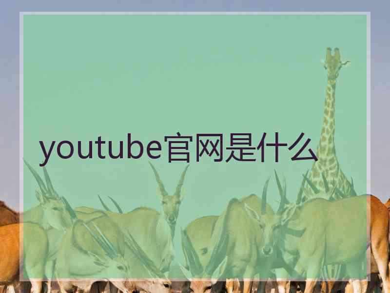 youtube官网是什么