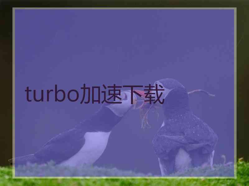 turbo加速下载