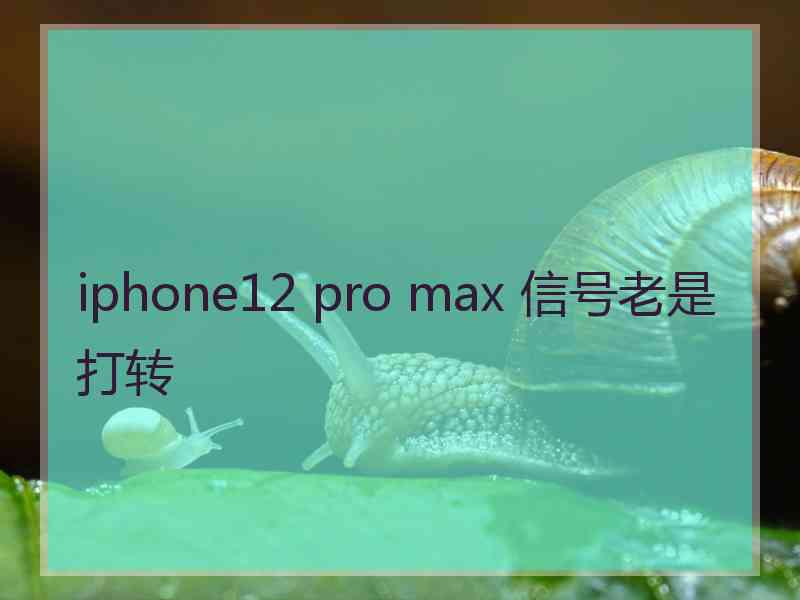 iphone12 pro max 信号老是打转