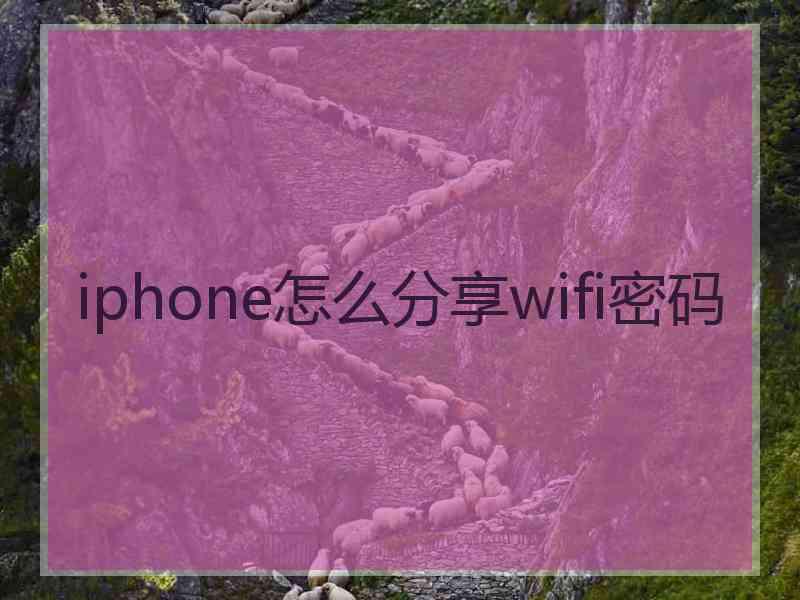 iphone怎么分享wifi密码