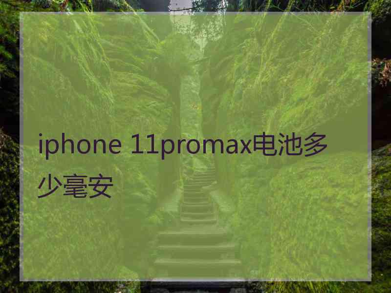 iphone 11promax电池多少毫安