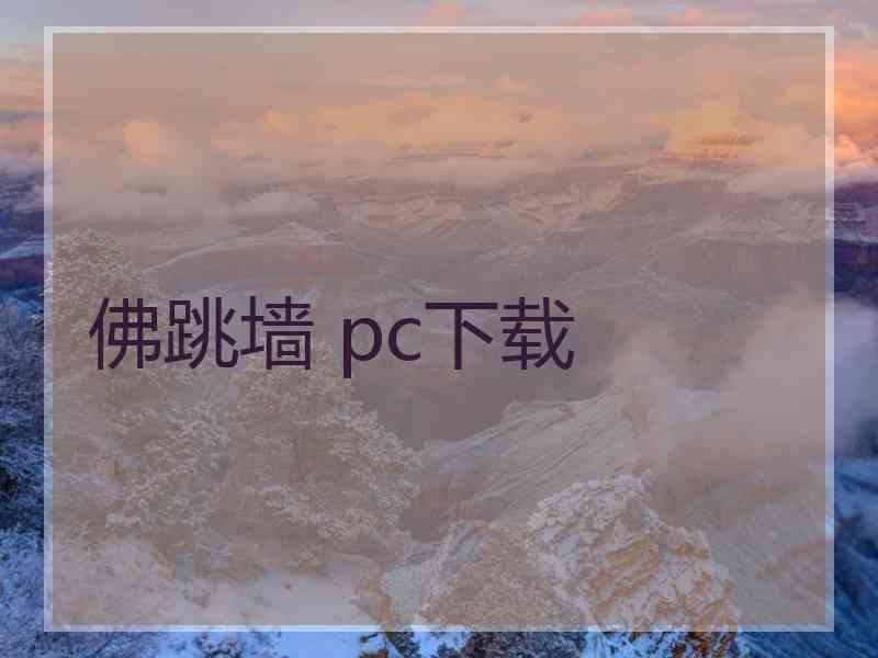 佛跳墙 pc下载