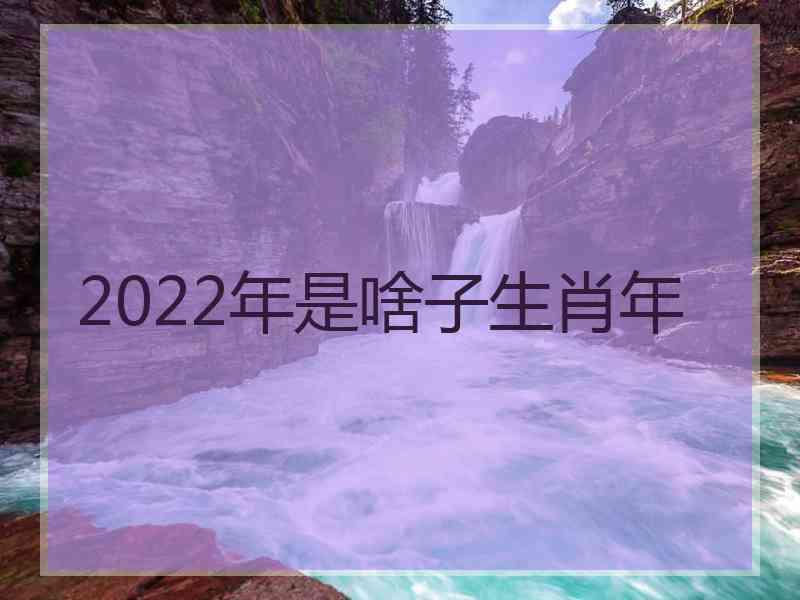 2022年是啥子生肖年