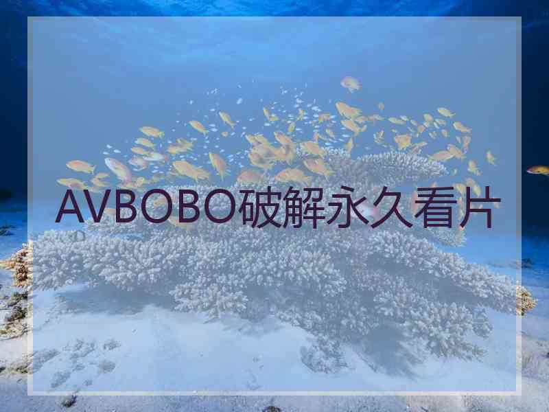 AVBOBO破解永久看片