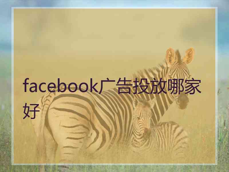 facebook广告投放哪家好