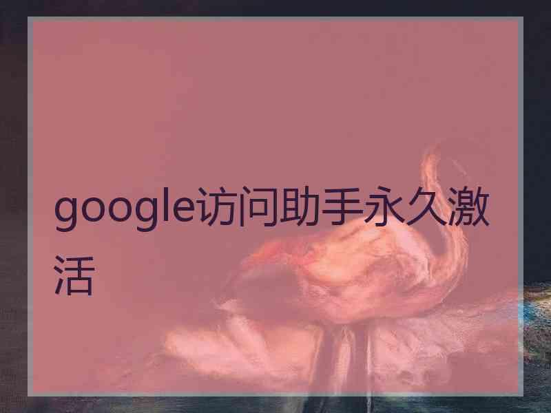 google访问助手永久激活