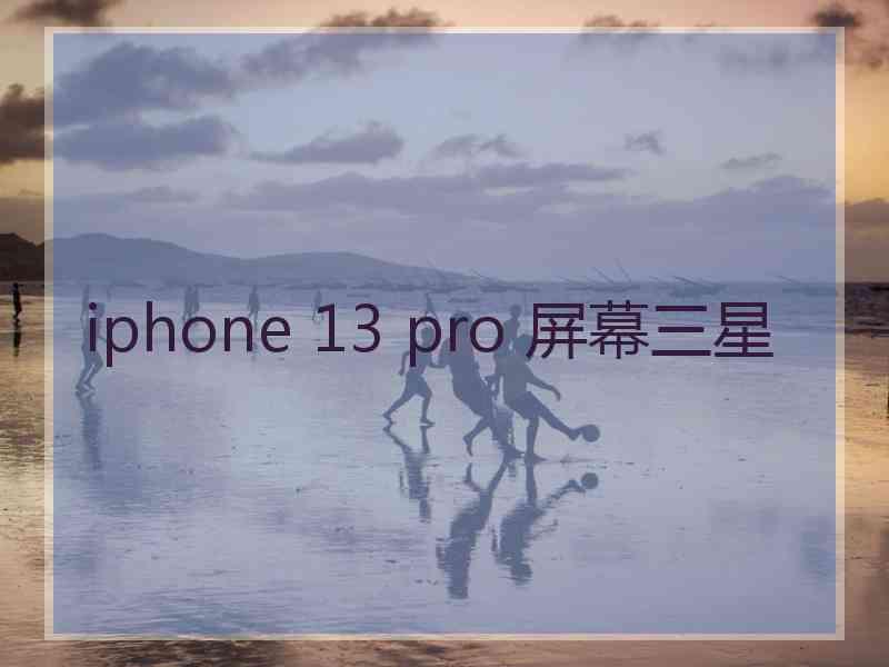 iphone 13 pro 屏幕三星