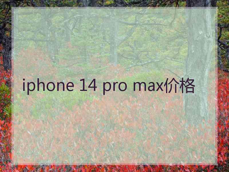 iphone 14 pro max价格