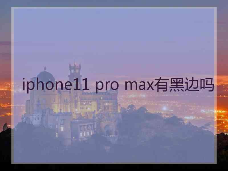 iphone11 pro max有黑边吗