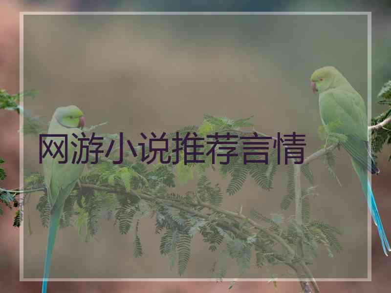 网游小说推荐言情