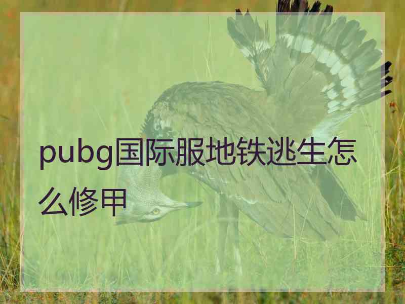 pubg国际服地铁逃生怎么修甲