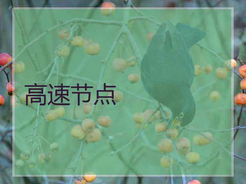 高速节点