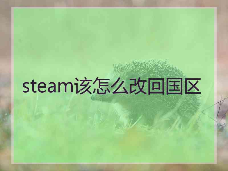 steam该怎么改回国区