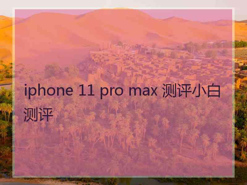 iphone 11 pro max 测评小白测评