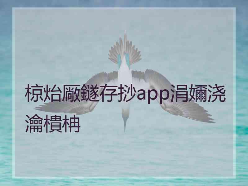 椋炲厰鐩存挱app涓嬭浇瀹樻柟