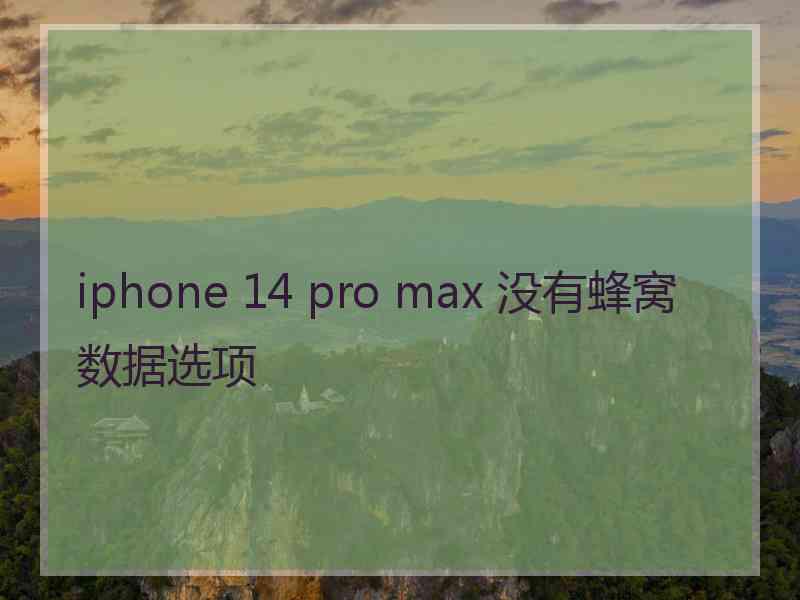 iphone 14 pro max 没有蜂窝数据选项