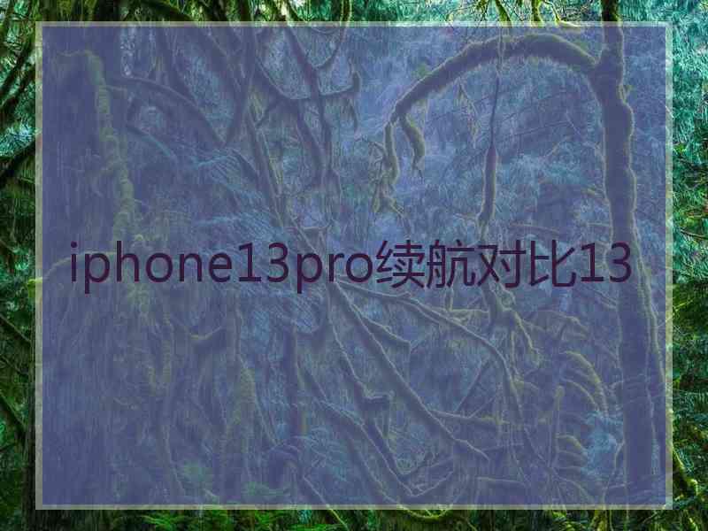 iphone13pro续航对比13