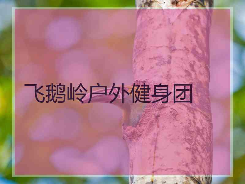 飞鹅岭户外健身团