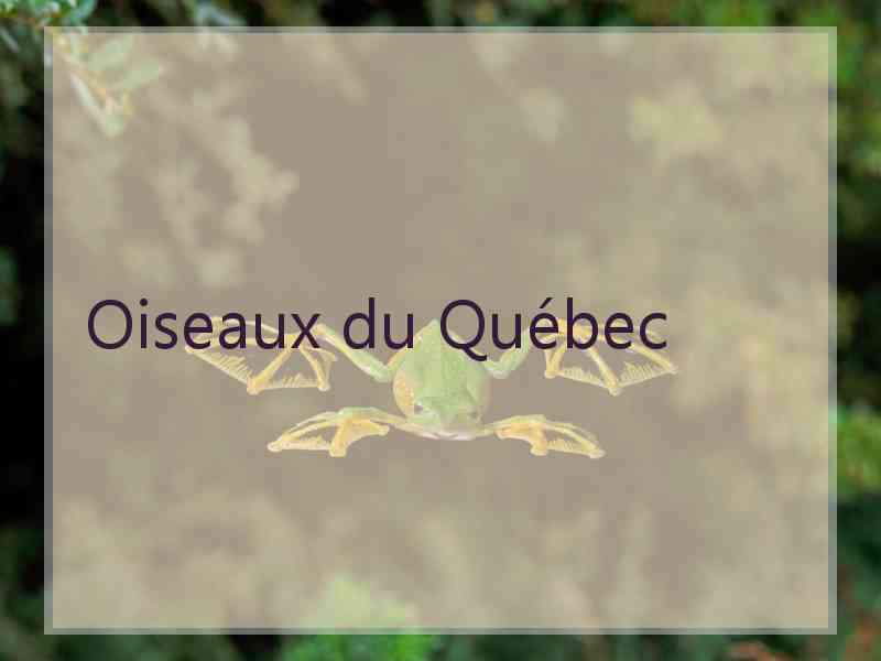 Oiseaux du Québec