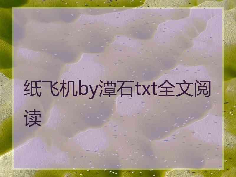 纸飞机by潭石txt全文阅读