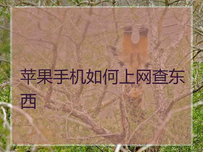 苹果手机如何上网查东西