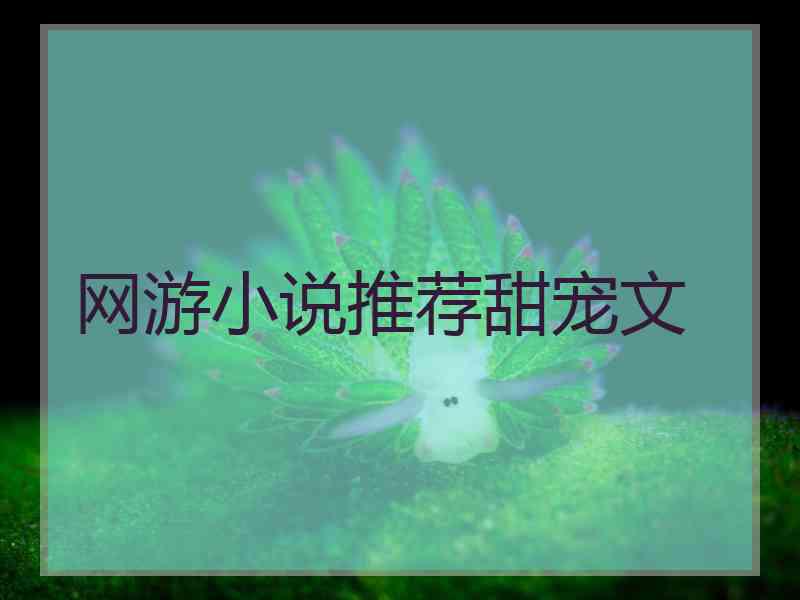 网游小说推荐甜宠文