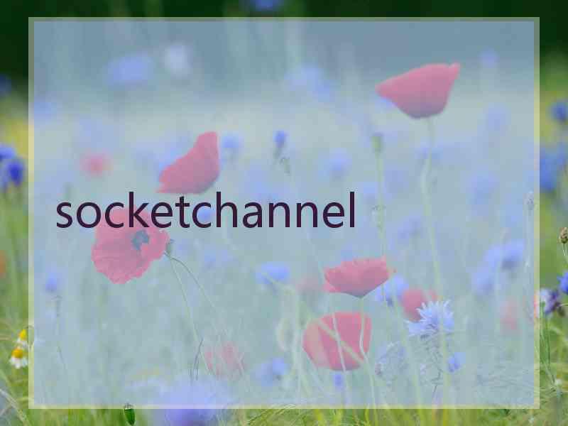 socketchannel