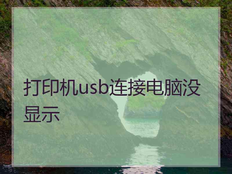 打印机usb连接电脑没显示