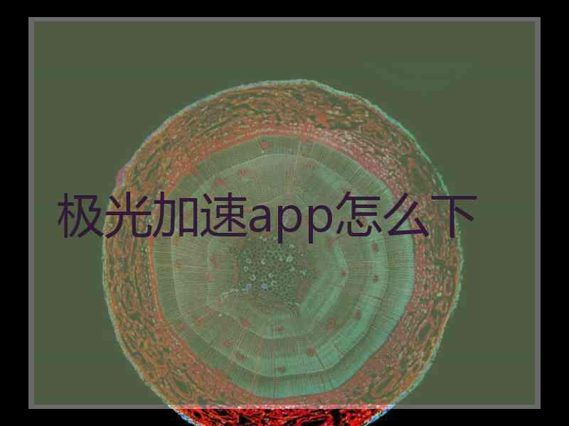 极光加速app怎么下