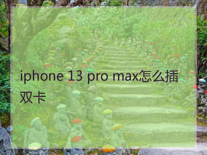 iphone 13 pro max怎么插双卡