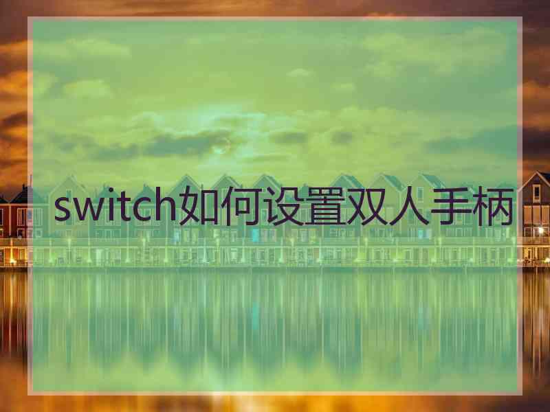 switch如何设置双人手柄