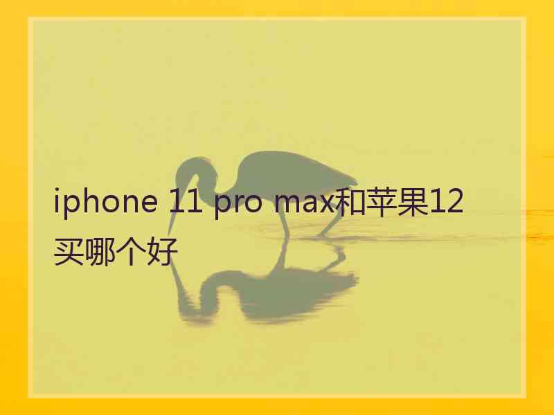 iphone 11 pro max和苹果12买哪个好