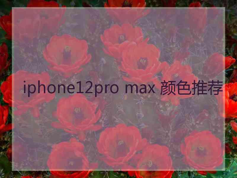 iphone12pro max 颜色推荐