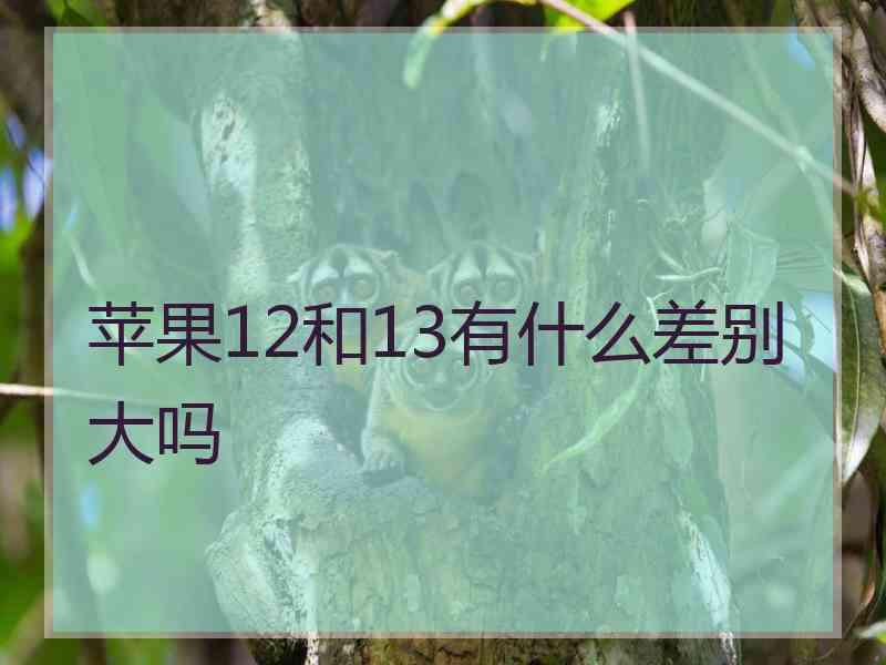 苹果12和13有什么差别大吗