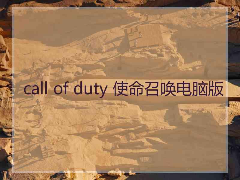 call of duty 使命召唤电脑版