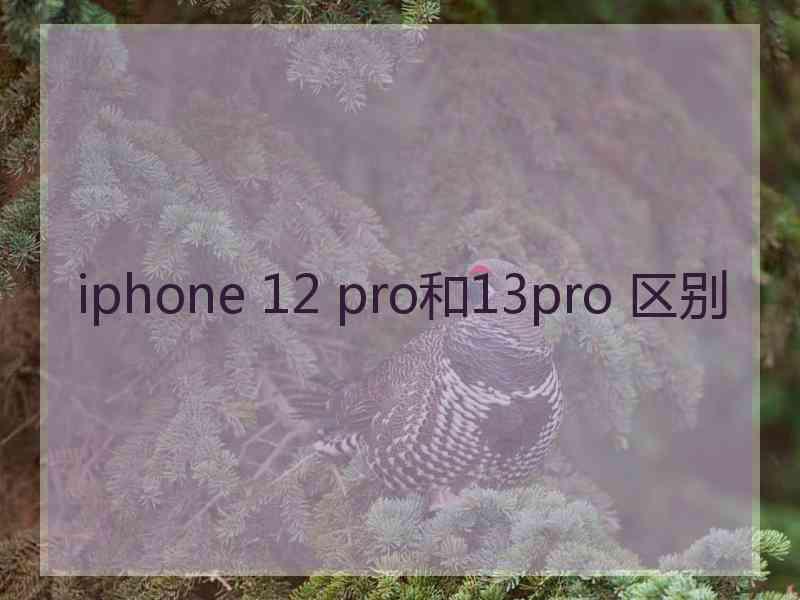 iphone 12 pro和13pro 区别