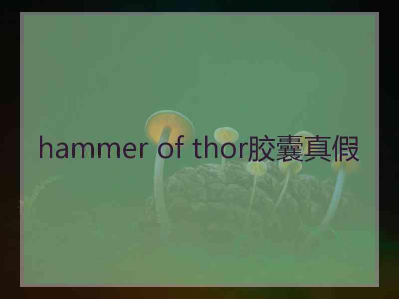 hammer of thor胶囊真假