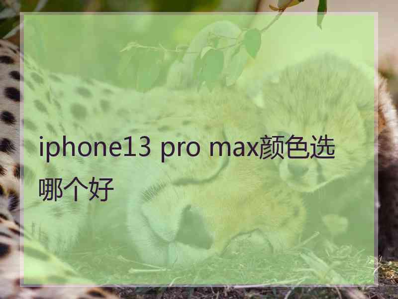 iphone13 pro max颜色选哪个好